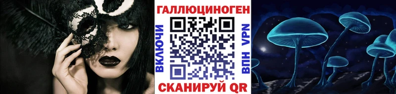 Псилоцибиновые грибы Psilocybine cubensis Саров